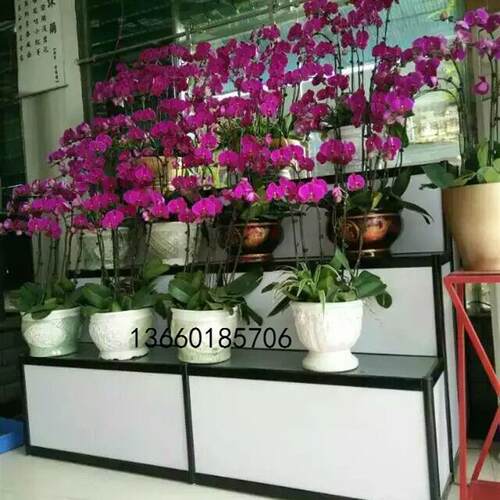 花店梯形货架/双面梯形货架/中岛货架/精品珠宝展柜/数码展示柜