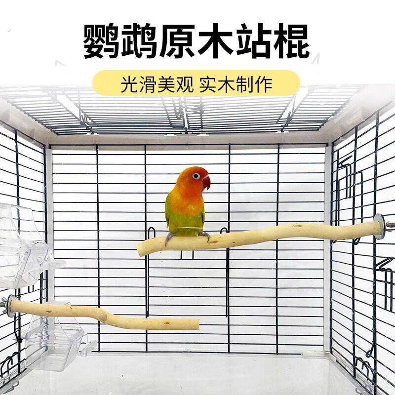 鹦鹉原木站棍站杆龙木磨爪站棍鹦鹉树枝粘杆实木鸟笼配件装饰