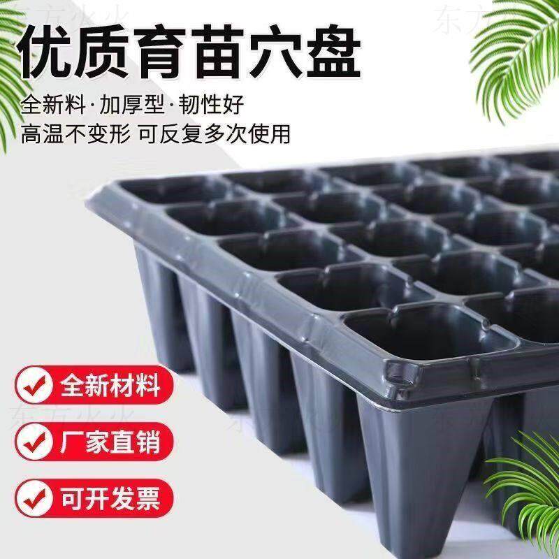 玉米育苗专用盘菜苗育苗盘种菜专用育苗杯穴盘塑料蔬菜种植杯神器
