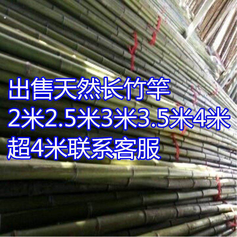 天然长竹杆1米2米3米4米5米6米竹竿粗竹竿大毛竹杆搭架立柱竹子杆