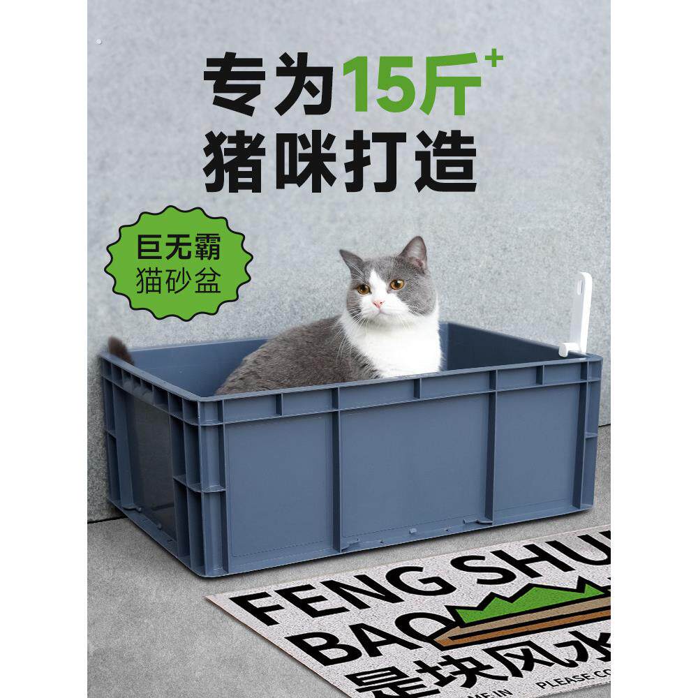 猫砂箱超大型集装箱周转箱超大型60斤40缅因猫巨型物流箱
