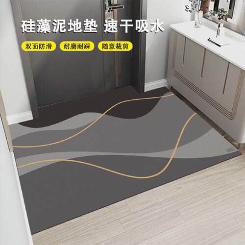 可裁剪矽藻泥入户门垫新款地垫玄关吸水防滑地毯家用耐脏免洗脚垫