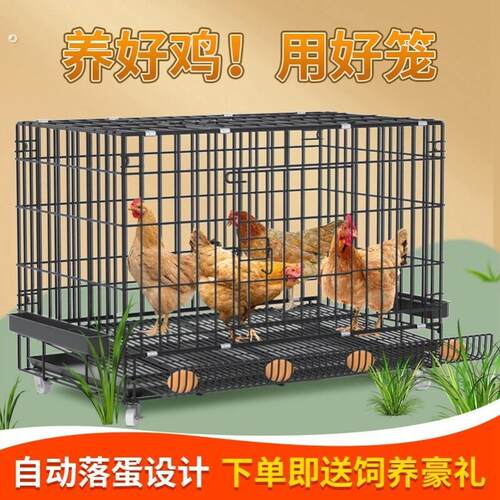鸡笼子家用养鸡笼大号特大号自动清粪折叠养殖笼鸡舍铁丝网鸭鹅笼