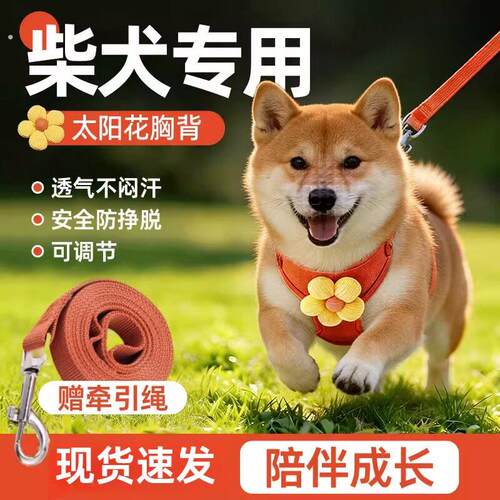 狗狗柴犬专用衣服胸背牵引绳马鞍背心式背带遛狗牵狗绳幼犬小型犬