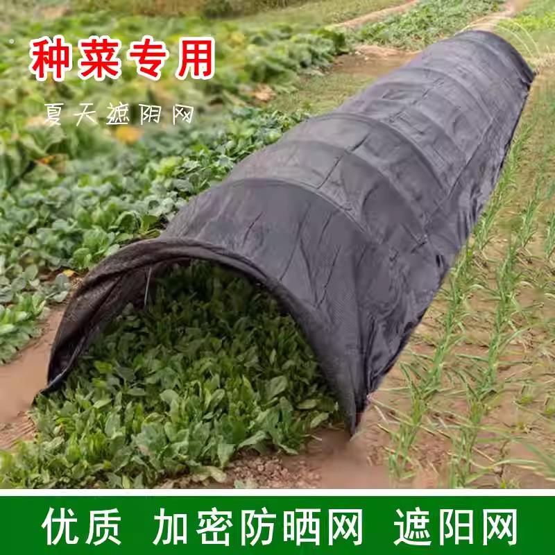 种菜专用防晒遮阳网加密加厚小拱棚遮阴网户外庭院隔热防晒网农用