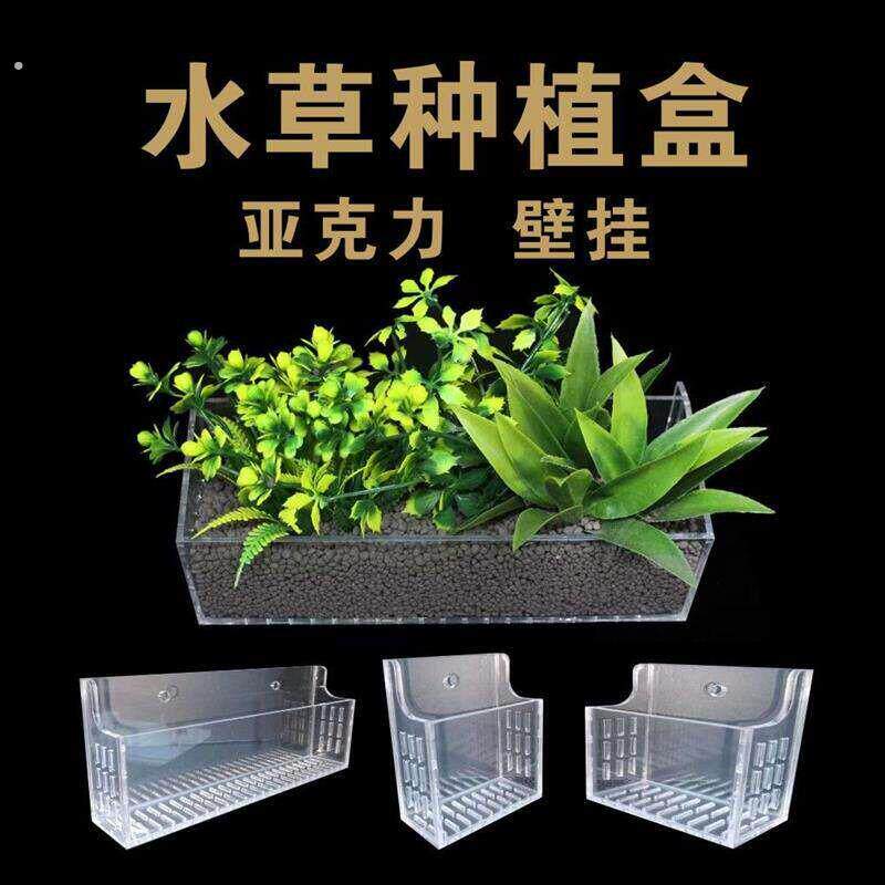 壁挂水草盒水培植物种植蓝透明亚克力水草造景装饰水草盆强力吸盘