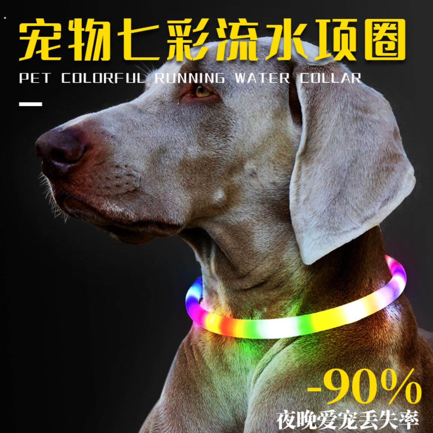 狗狗发光项圈夜间遛狗夜光夜行灯大小型犬防走失带灯充电宠物脖圈