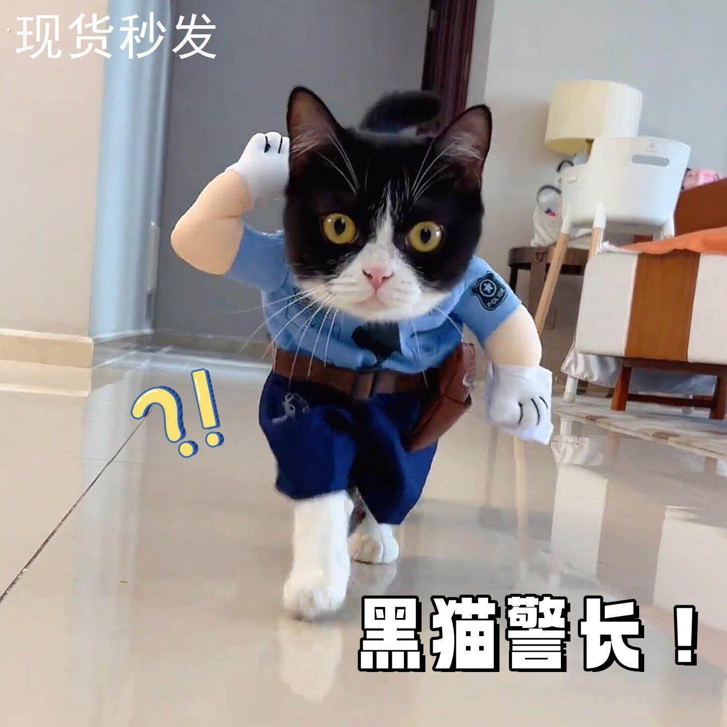 猫猫警官制服夏季猫咪搞怪衣服宠物狗狗搞笑变身装小型犬创意服饰