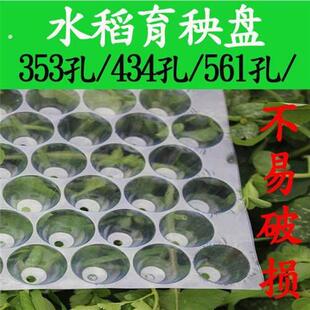 抛秧盘育秧盘手工水稻抛秧盘穴盘机插秧盘机栽秧盘353/434机抛