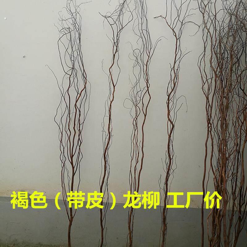 龙柳 龙柳干燥树枝假树枝褐色棕色带皮龙柳装饰隔断橱窗装饰天然