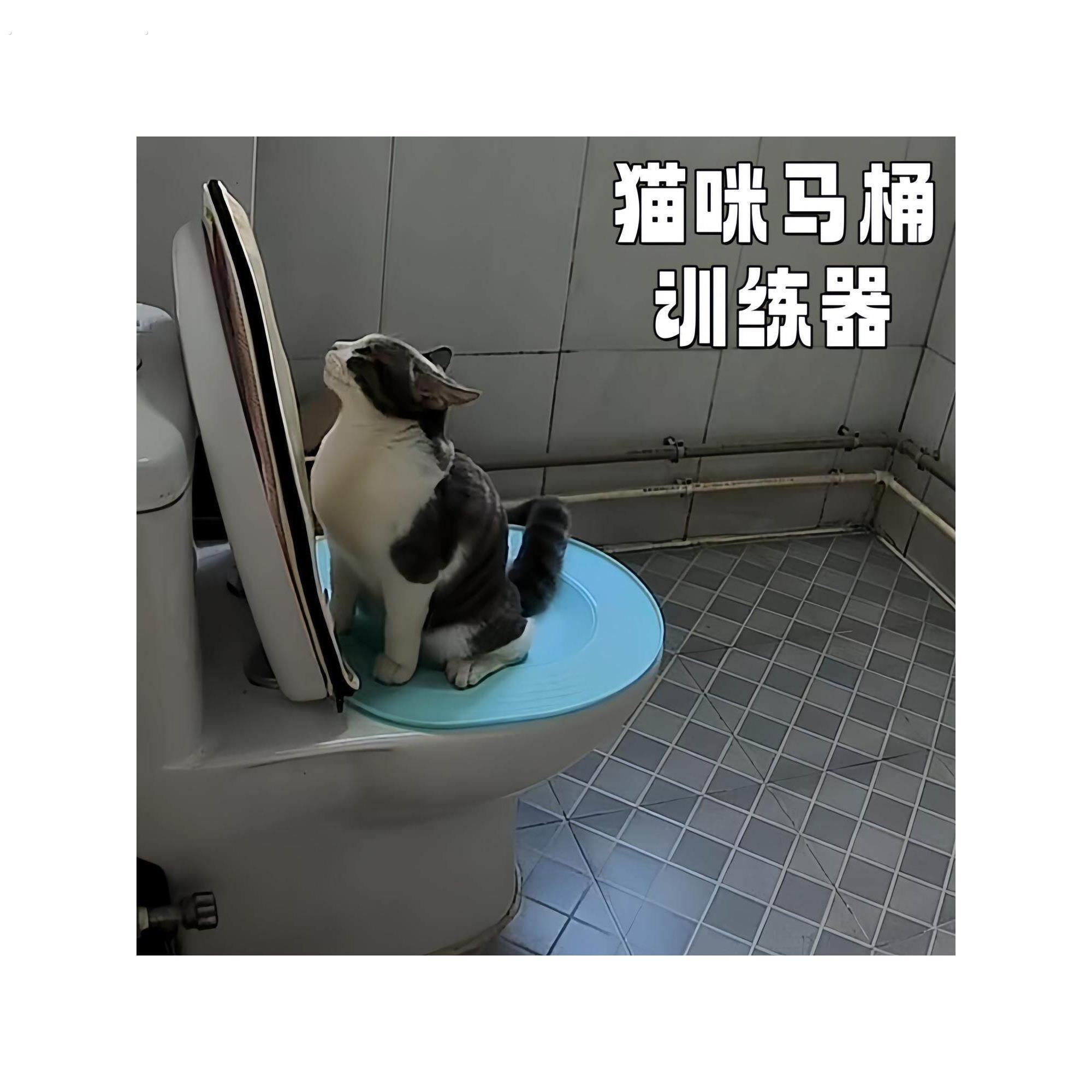 猫咪马桶训练器上厕所蹲厕训练神器可拆卸坐便猫砂盆防外溅猫砂盘