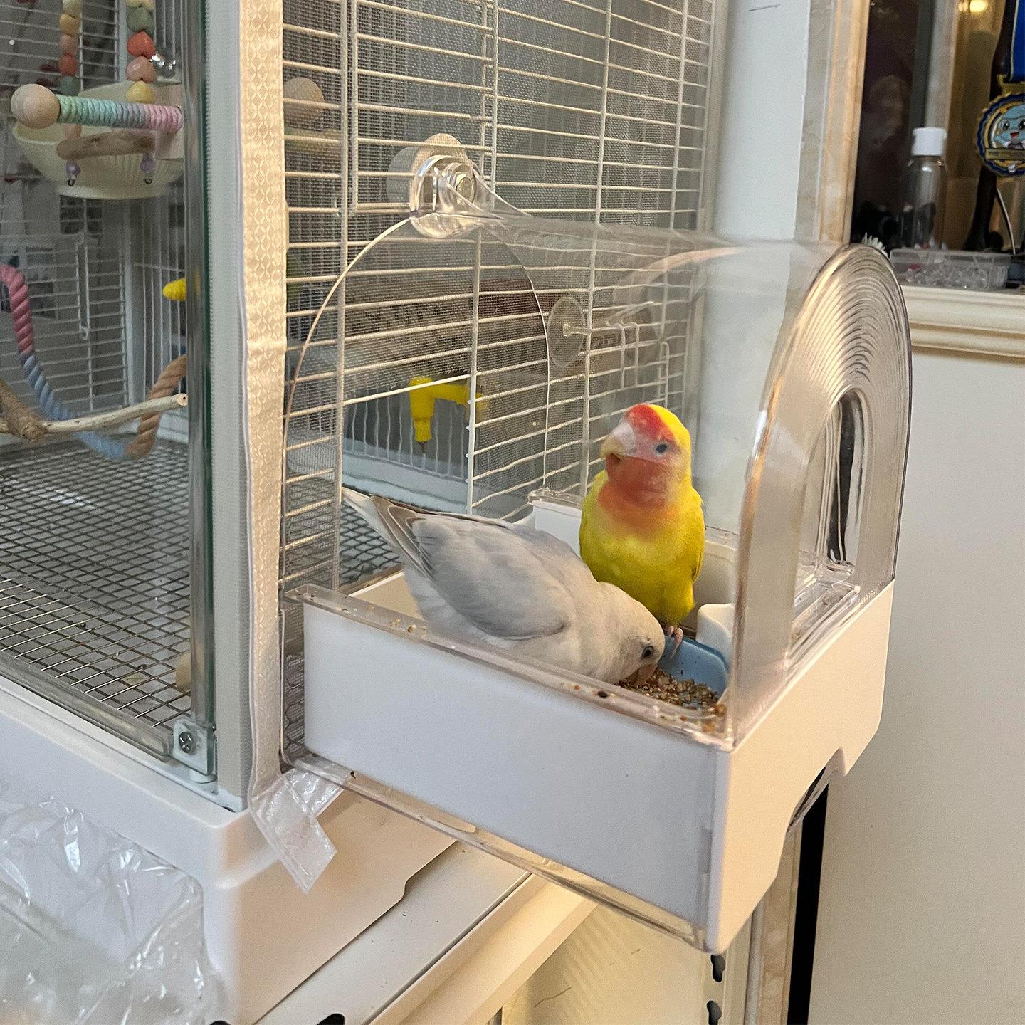 鹦鹉食盒防溅防洒小鸟喂食器鸽子食槽牡丹玄凤外置食盆宠物用品