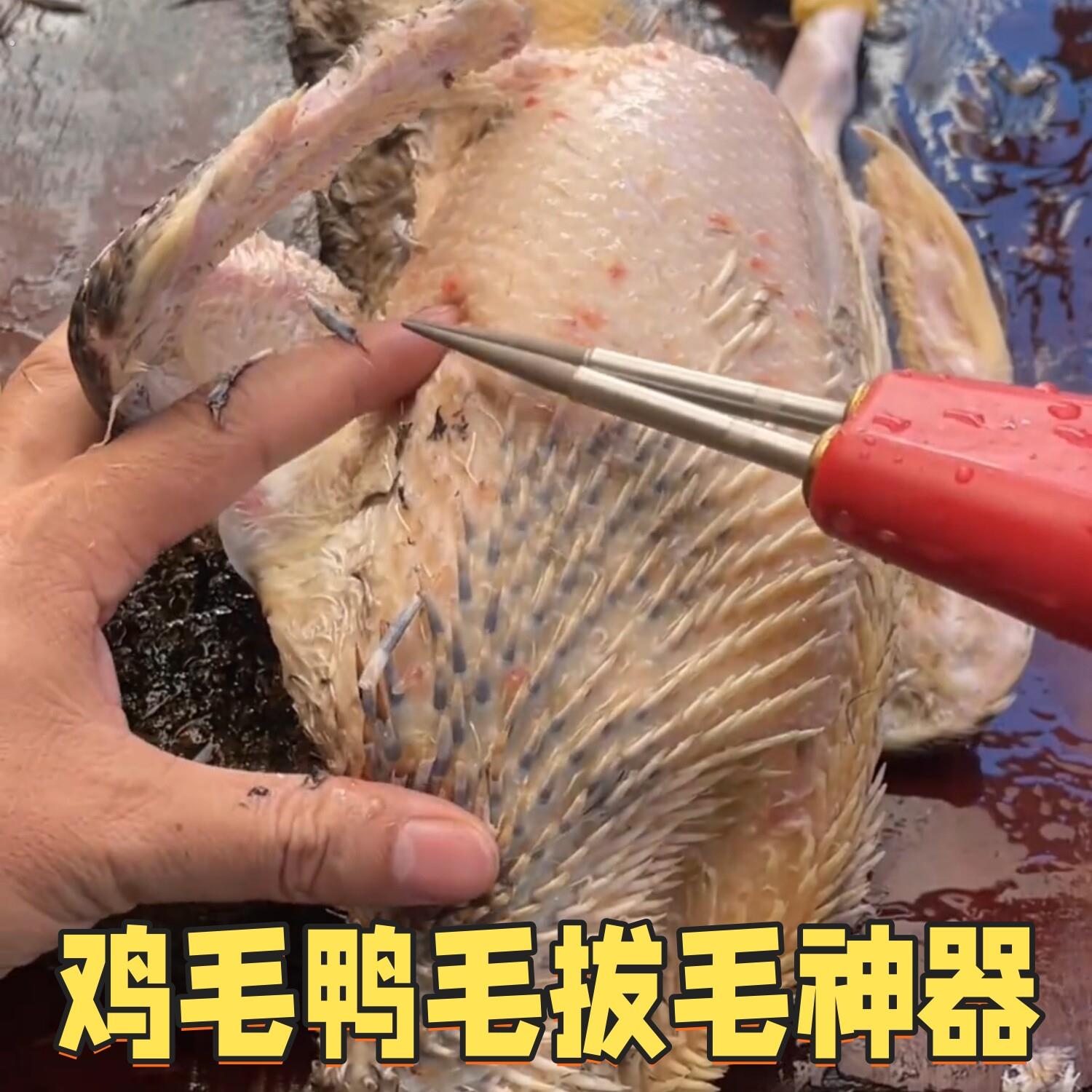 鸡鸭鹅电动拔毛器全自动款鸡毛鸭毛拔毛神器大功率家禽除毛机夹子