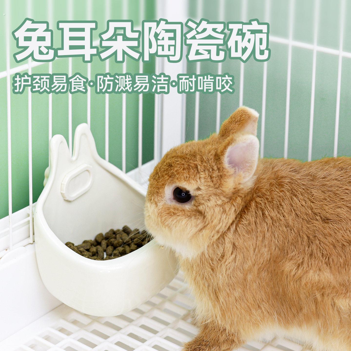 兔子食盆侏儒兔可调节兔兔饭碗荷兰猪龙猫挂式大容量防咬食盒