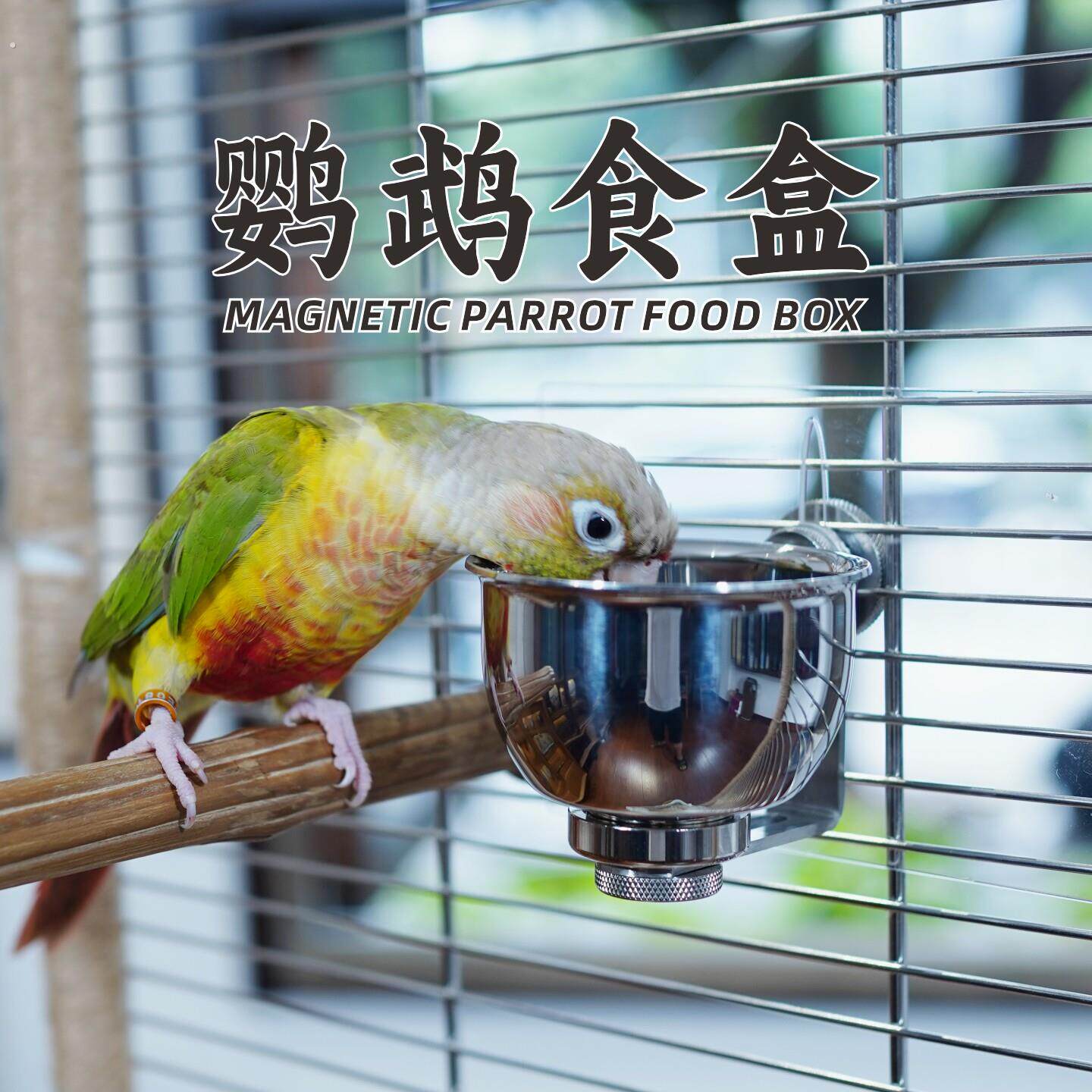 鹦鹉食盒防叼防溅粮304不锈钢食碗八哥玄凤小太阳喂食缸鸟用食杯