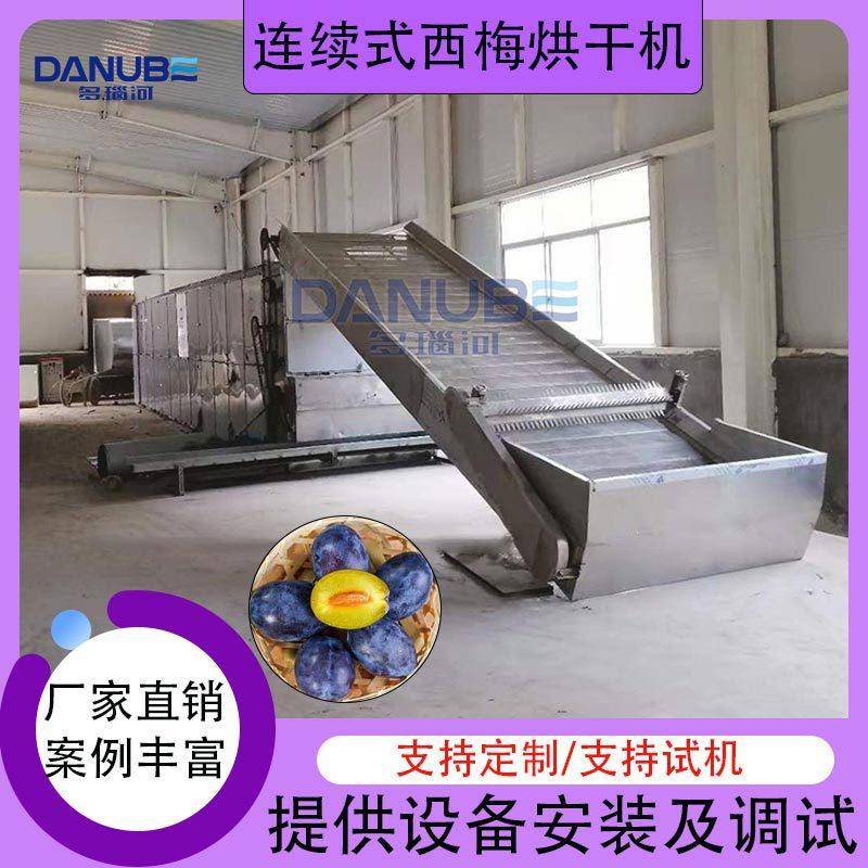 连续式西梅烘干机大型欧洲李西洋李干燥机网带加州西梅烘干设备