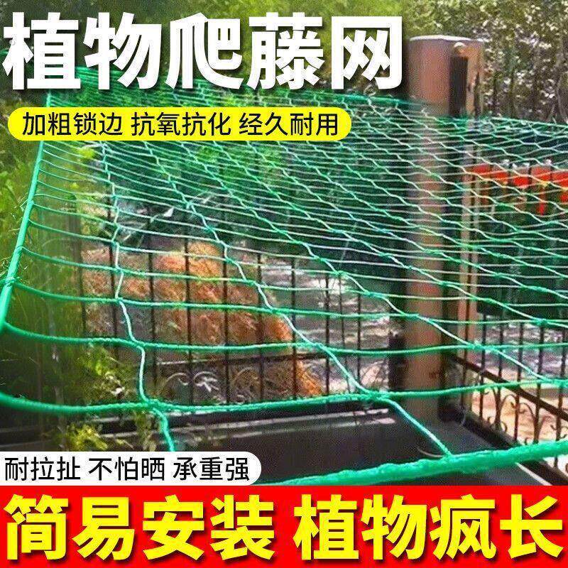 植物攀爬爬藤网瓜果百香果丝瓜吊瓜搭架葡萄黄瓜豆角种植苦瓜月季