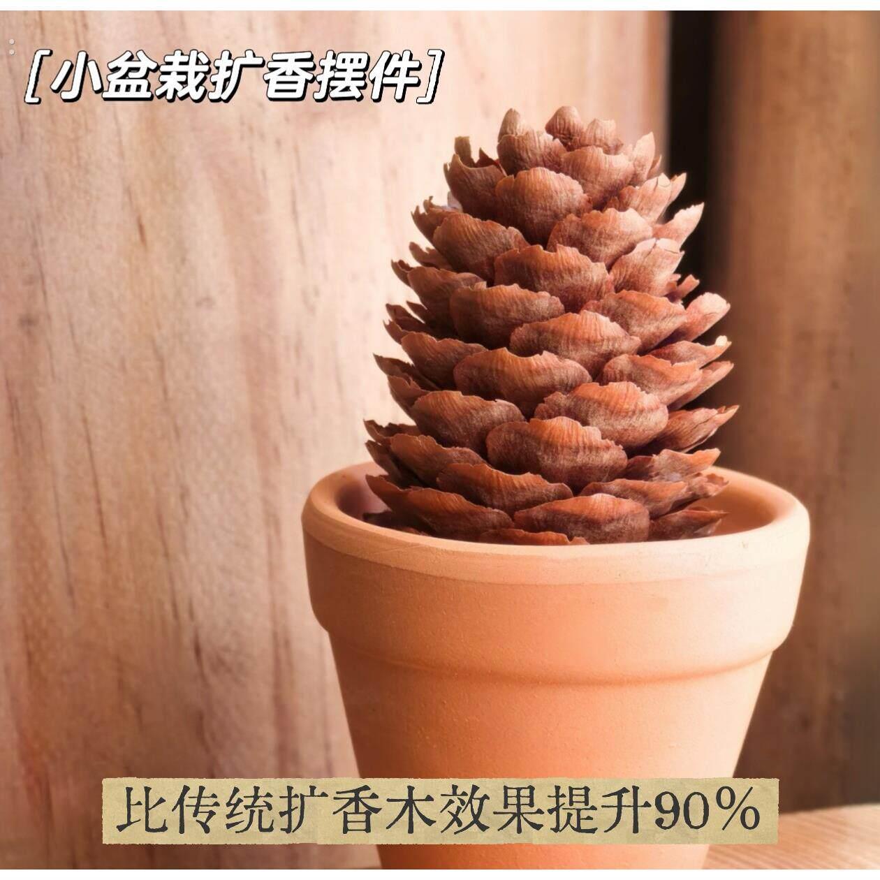 小盆栽扩香木家用扩香石扩香器车载治愈系小摆件精油持久房间香薰