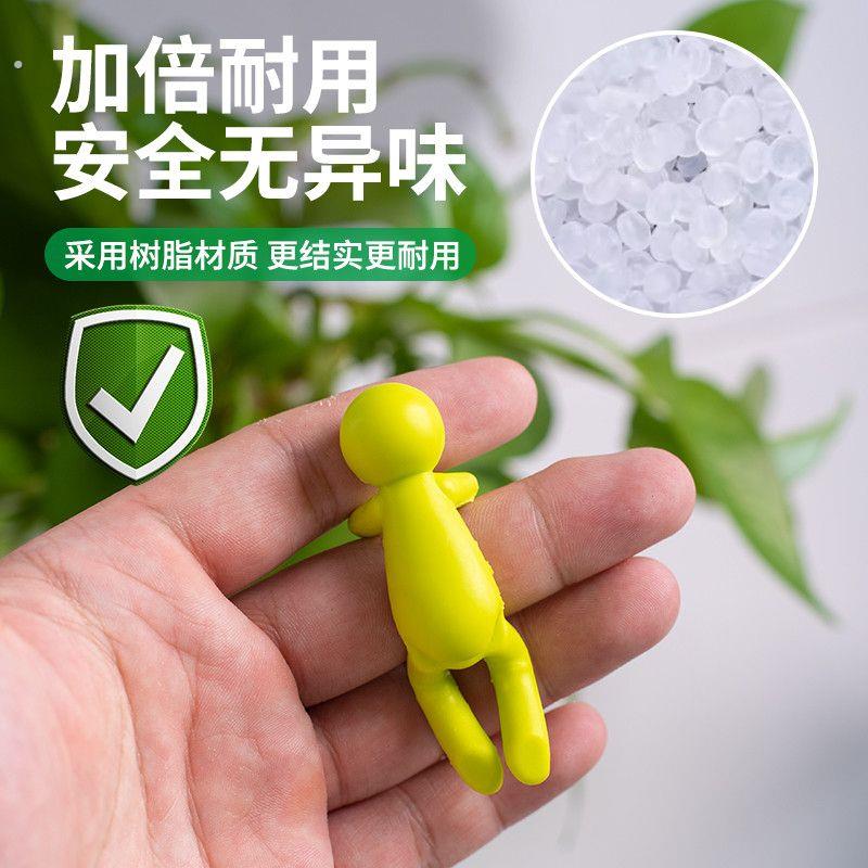 水培植物扶正固定器盆栽防倒支架办公桌面园艺装饰架