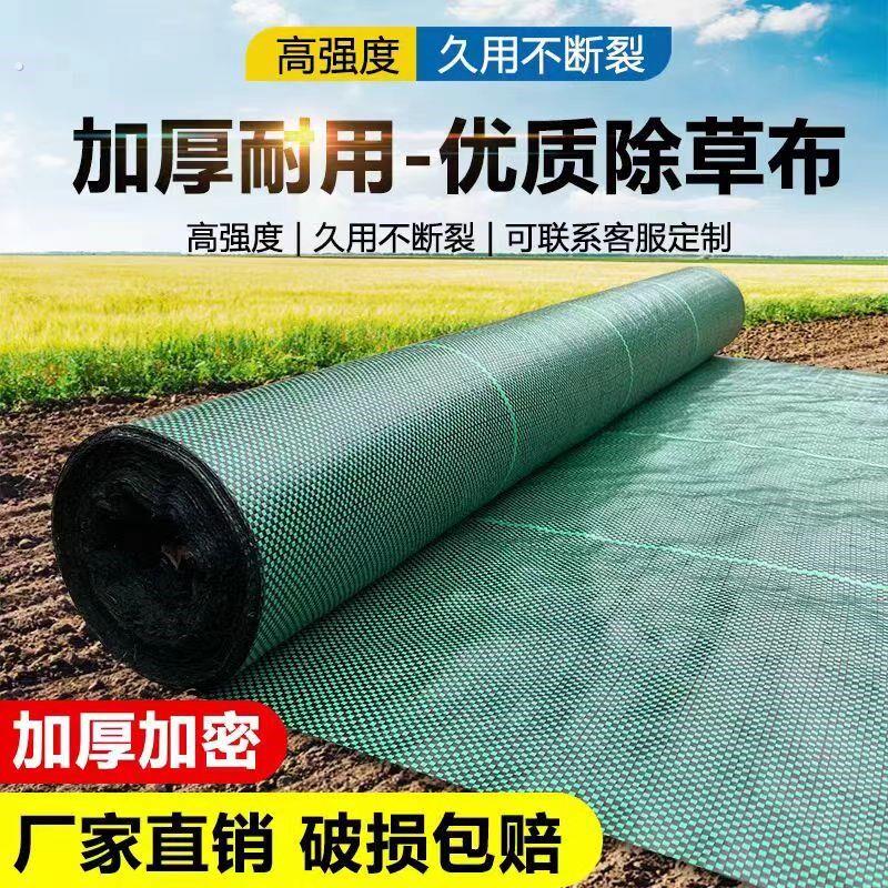 防草布除草布耐用加厚庭院果园艺地布地膜厂家直销新型生态黑绿色