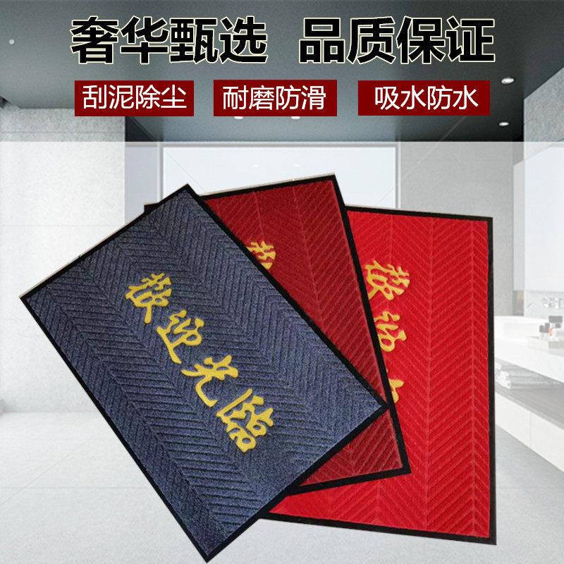 入户门地垫商铺酒店欢迎光临门口地毯消毒垫防水除尘走廊防滑门垫