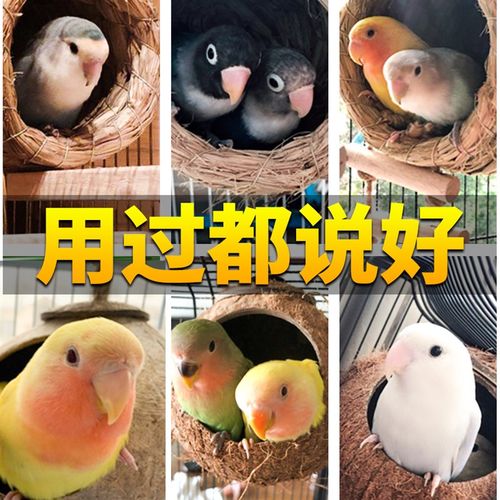 鸟窝鹦鹉窝珍珠玄凤虎皮玩具用品大全保暖草窝椰子壳窝鸟巢繁殖箱