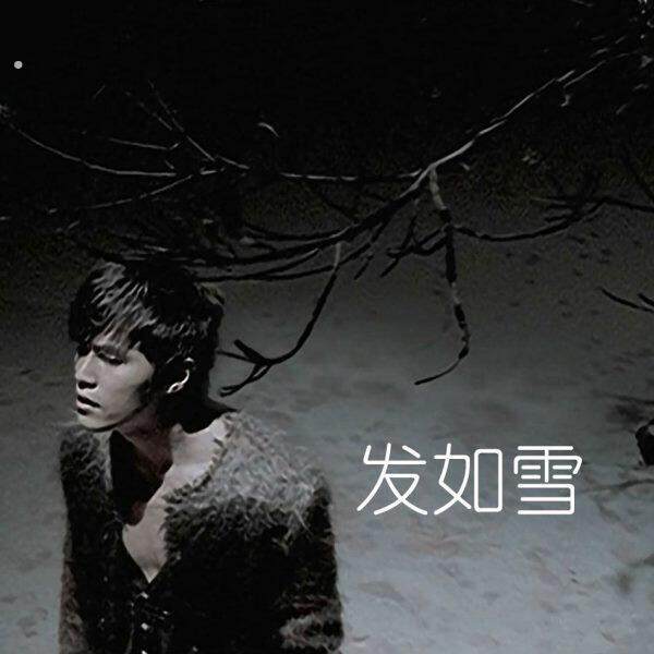 发如雪 扒谱制谱服务 萨克斯谱 单簧管谱 长笛 小号 小提琴 伴奏
