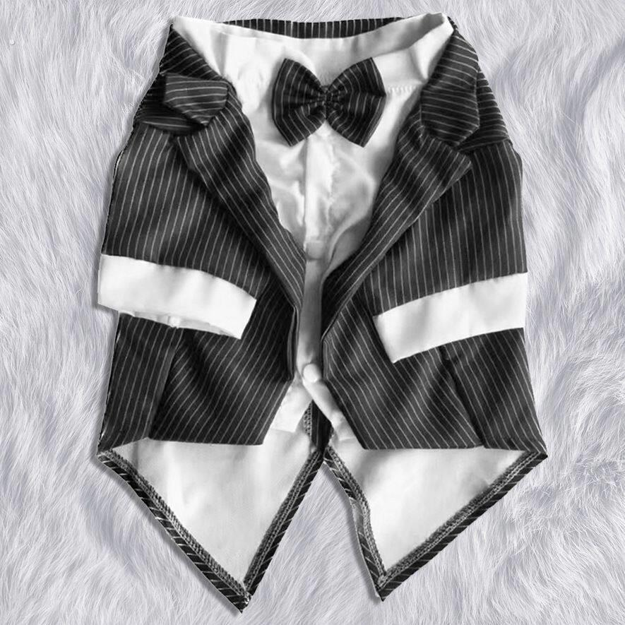 狗狗婚纱礼服春夏宠物服饰宠物西服燕尾服泰迪小型狗礼服狗狗服装