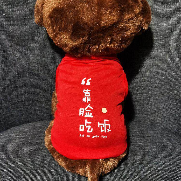 狗狗衣服夏季泰迪狗小型犬搞笑小狗衣服猫咪幼猫可爱兔子衣服薄款