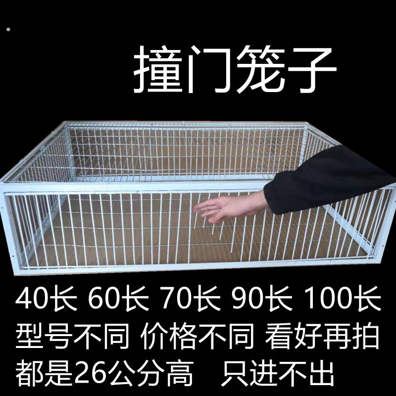 天落笼加密祇进不出鸽子笼鸽子活络撞门笼自动收鸽鸽子笼鸽子神器图片
