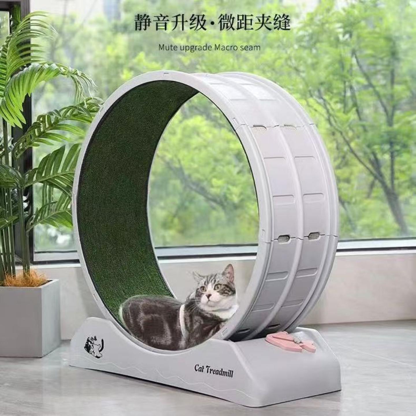 猫跑步机猫咪跑步机静音滚轮专用猫爬架小型宠物健身跑轮不卡脚防