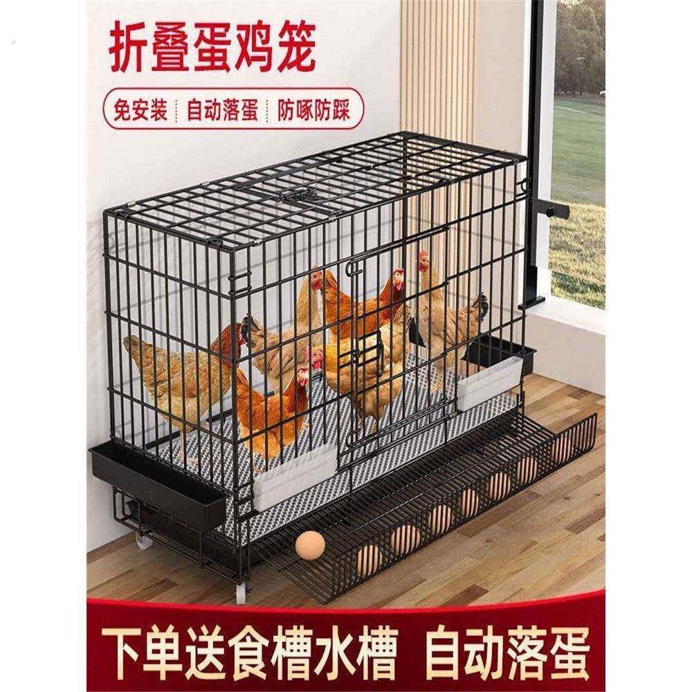 鸡笼子家用室外大号小鸡笼自动清粪母鸡下蛋家用室内养鸡鸭窝防雨