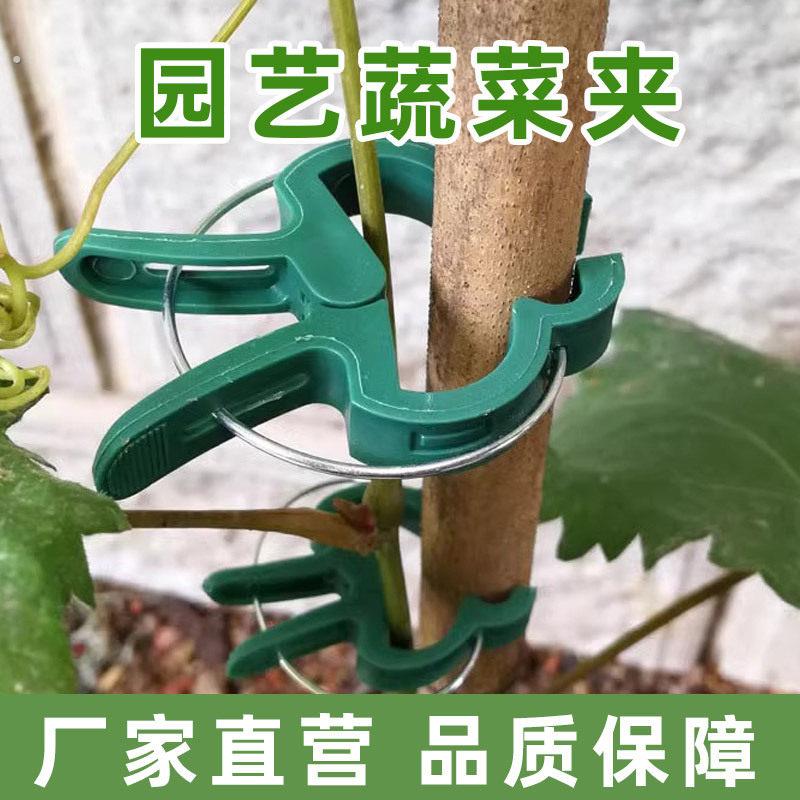 蔬菜夹固定器爬藤吊秧架子藤蔓瓜果扣子绑枝园艺工具固定攀爬番茄
