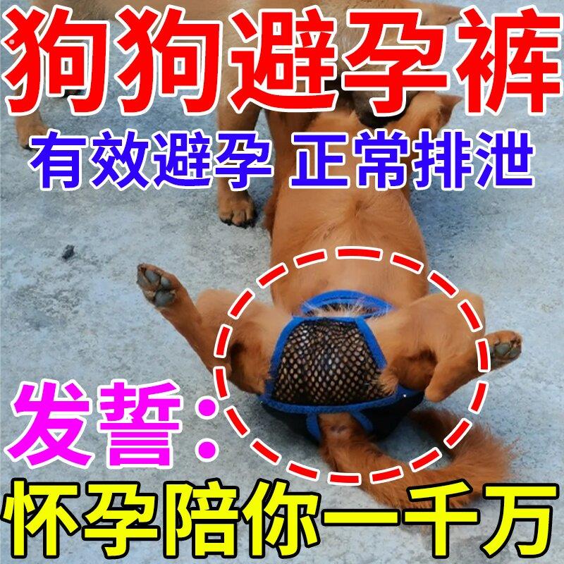 狗狗避孕裤母狗防交配神器狗发裤防交配裤生理裤可排泄裤情防骚扰