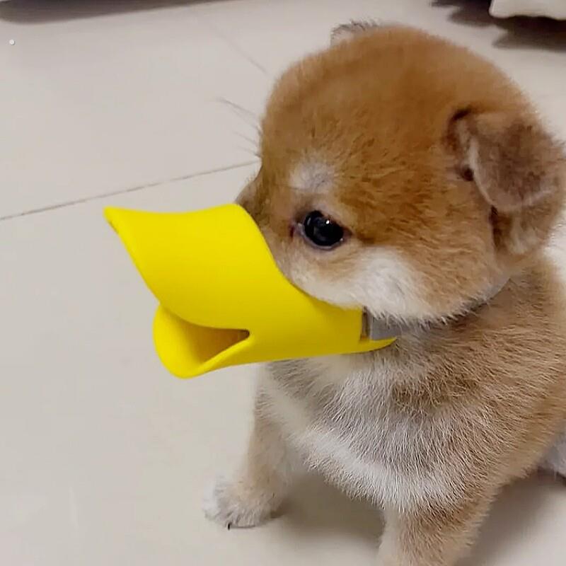 【不乱吃】狗狗鸭嘴套防误食防乱吠叫止吠器中小型犬柴犬透气可调