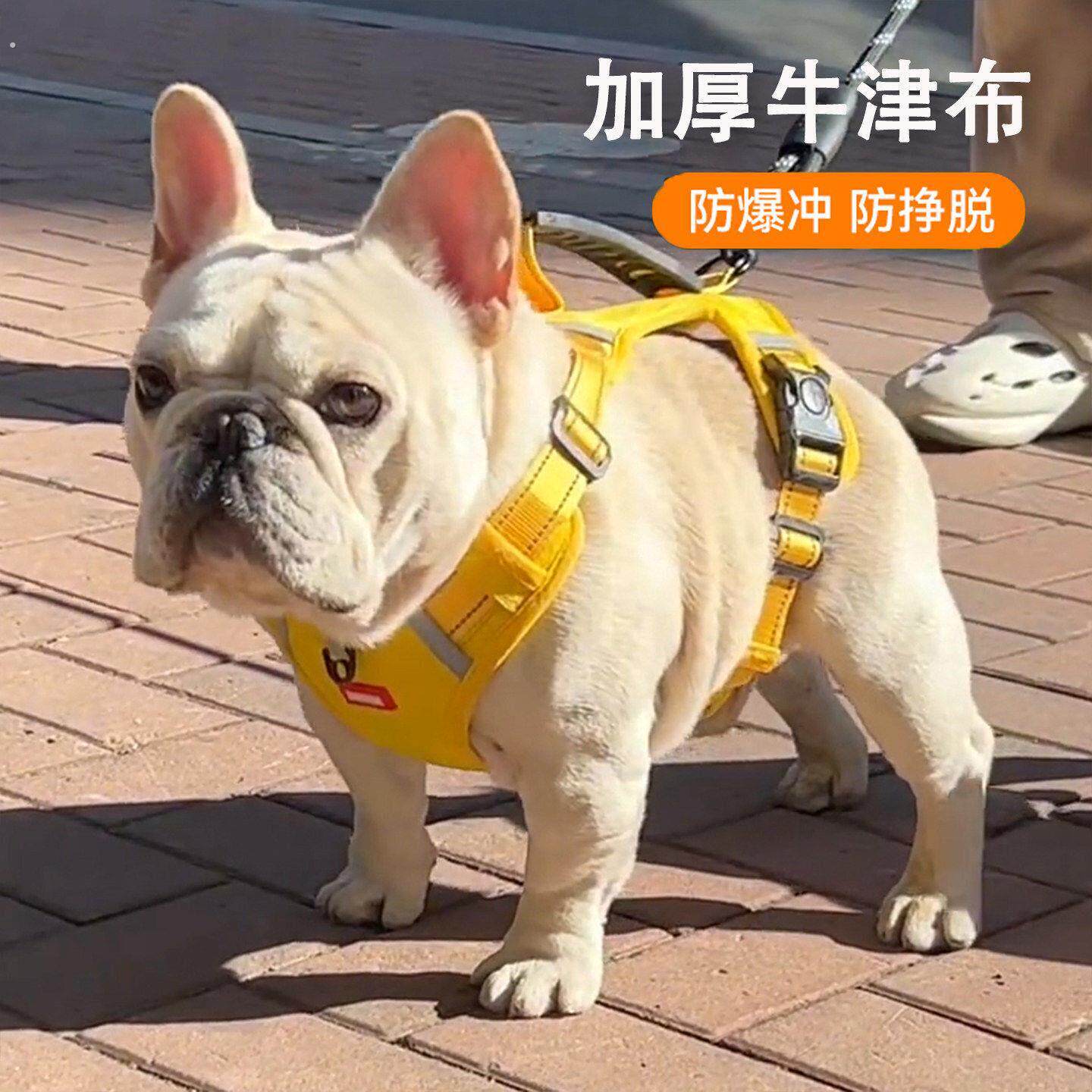 狗狗牵引绳背心式中型犬法斗巴哥可调节不勒脖胸背带遛狗绳狗链子
