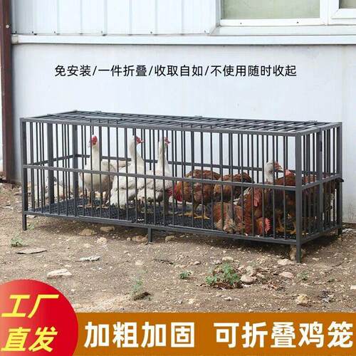 无障碍免安装兔笼家用大号养殖笼楼顶鸡舍鸭笼鸡笼碳钢宠物狗笼子