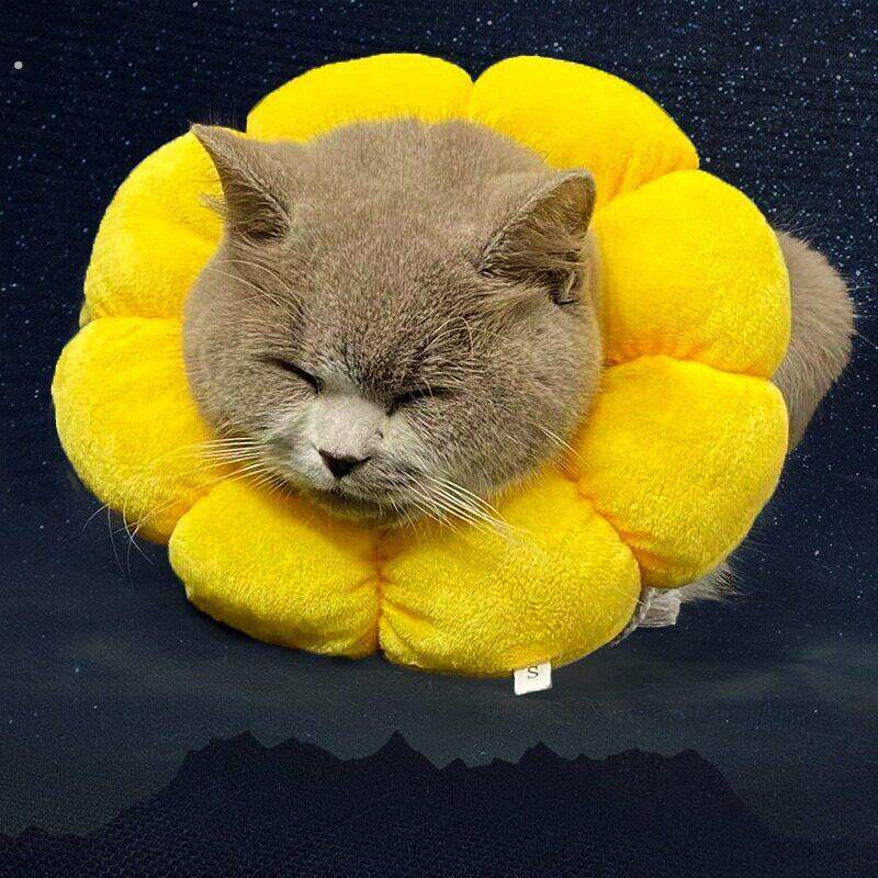 优选向日葵圈 猫咪狗狗美容防咬圈保护脖套耻辱项圈宠物用品