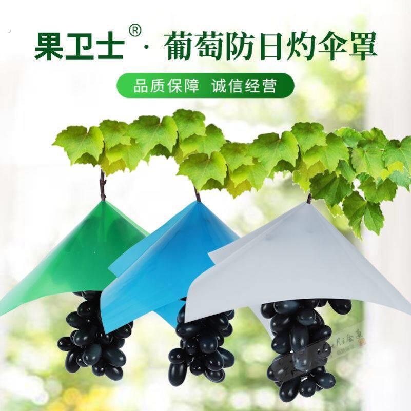 葡萄套袋纸袋葡萄防日灼伞罩阳光玫瑰防水伞夏黑防晒伞防鸟伞巨峰