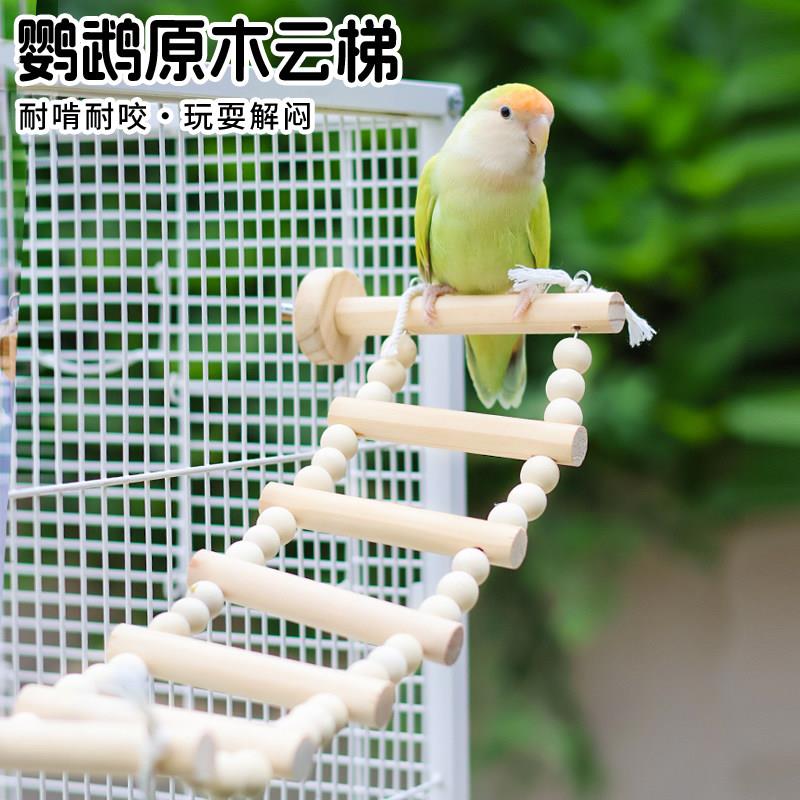 鹦鹉原木云梯攀爬运动梯子小太阳牡丹实木云梯吊桥锻炼梯子