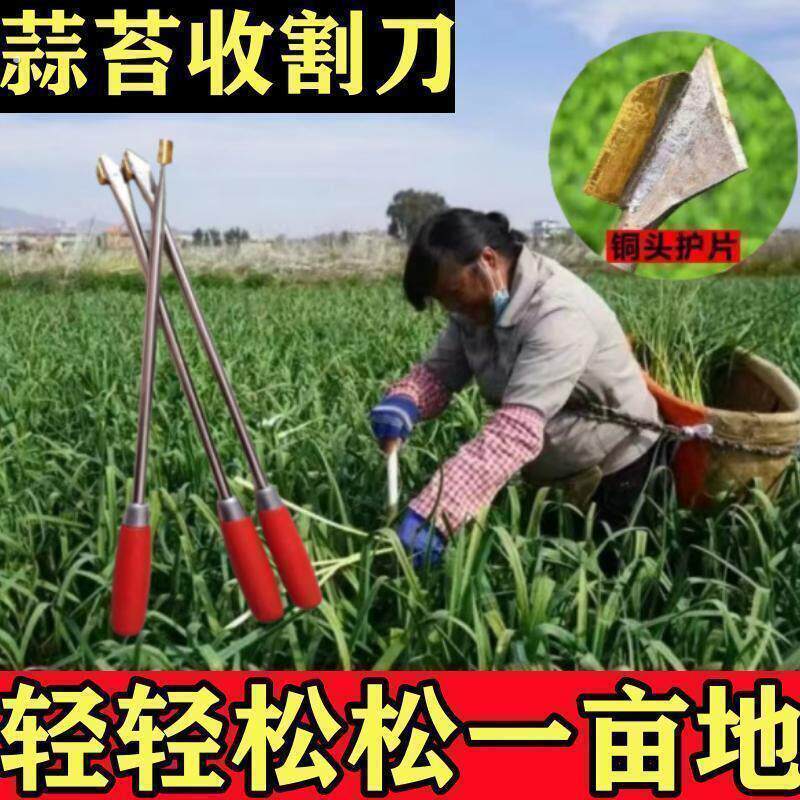 2024新款蒜苔打蒜台神器收割器提拔剔蒜苔提摘工具快速抽拔全自动