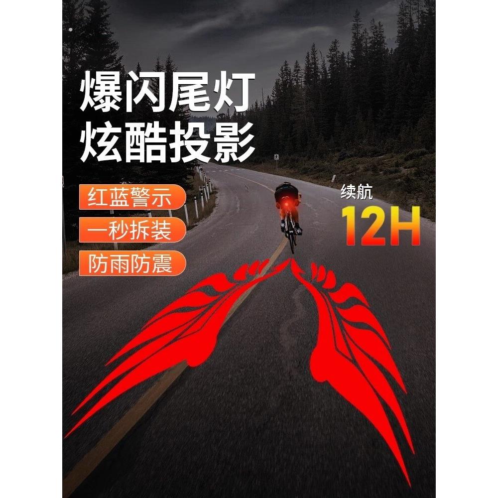 山地公路自行车夜间夜行警示闪光单车骑行夜灯激光投影爆闪后尾灯