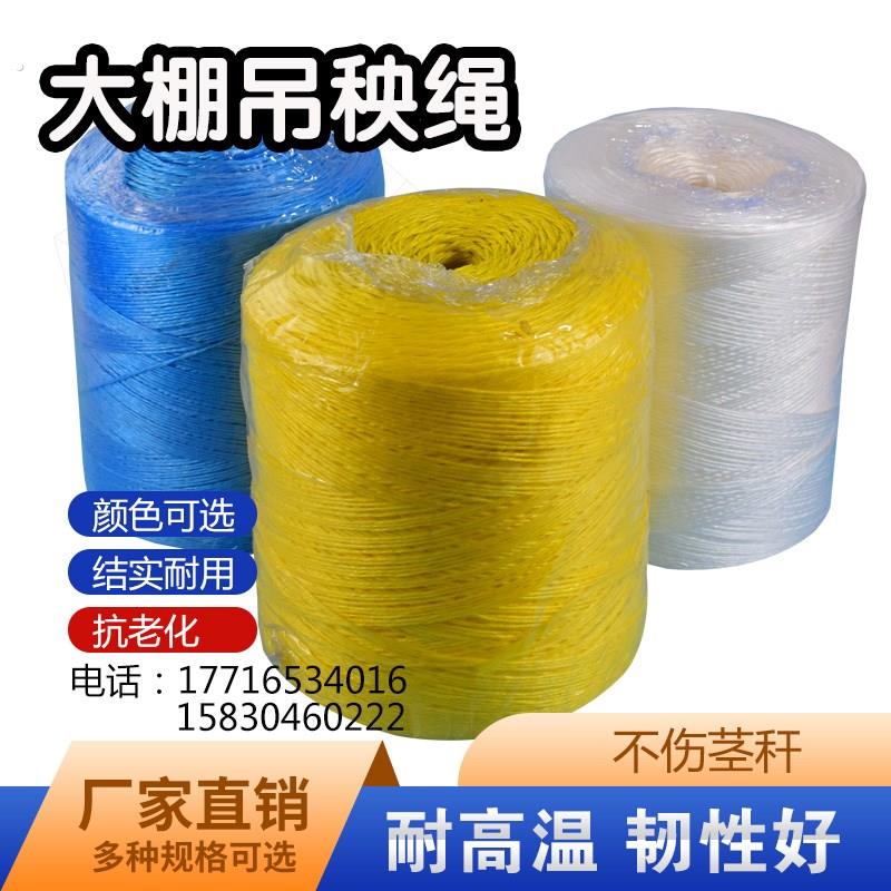 蔬菜吊绳耐高温大棚绳防老化绳网状 平板 吊蔓绳子白色吊秧绳