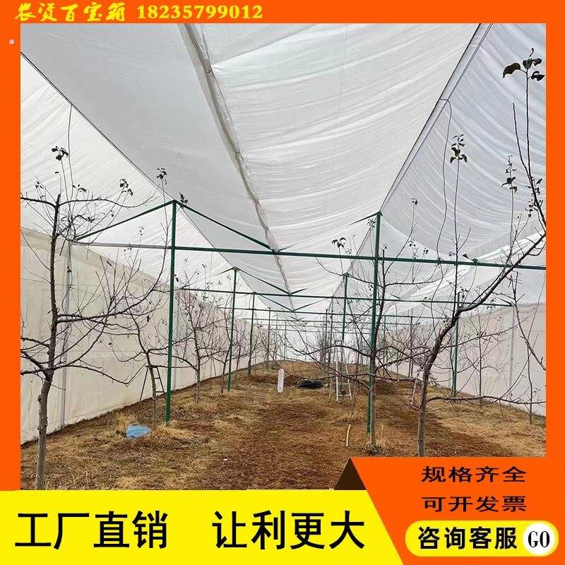防虫网大棚果树果园防鸟纱窗聚乙烯网菜果园防冰雹网罩子定制加宽
