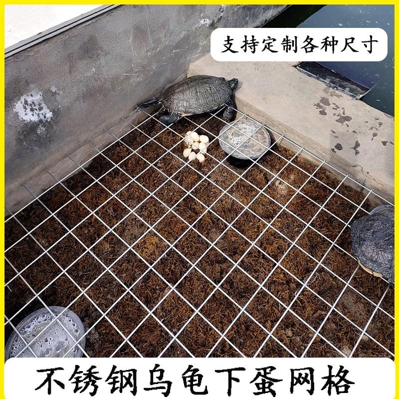 乌龟产蛋池下蛋网格防逃网晒台生蛋盆繁殖盒草龟铁格子板房栖息休