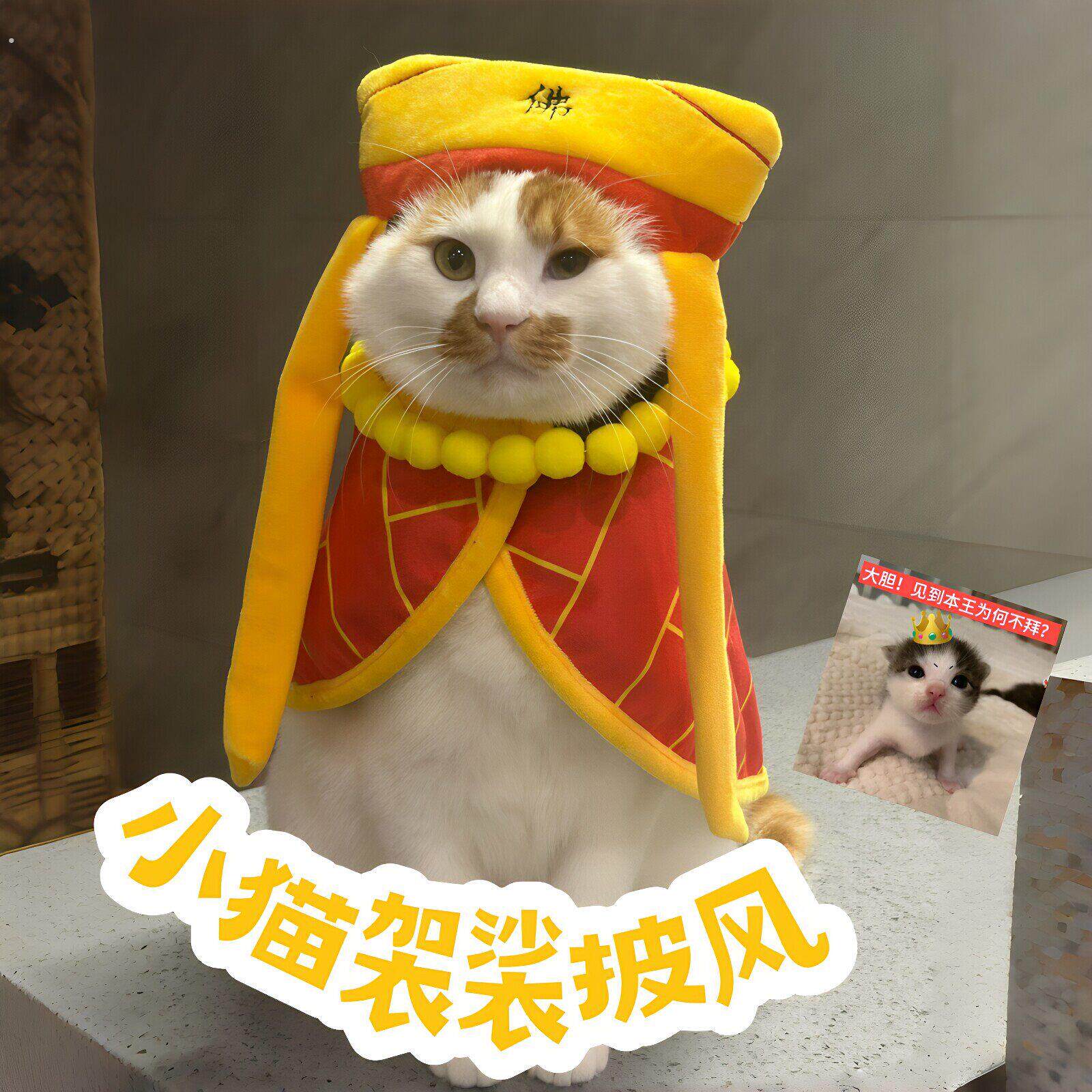 唐僧骑马咚那个咚！小猫袈裟披风猫咪狗狗可爱服饰小型宠物小斗篷