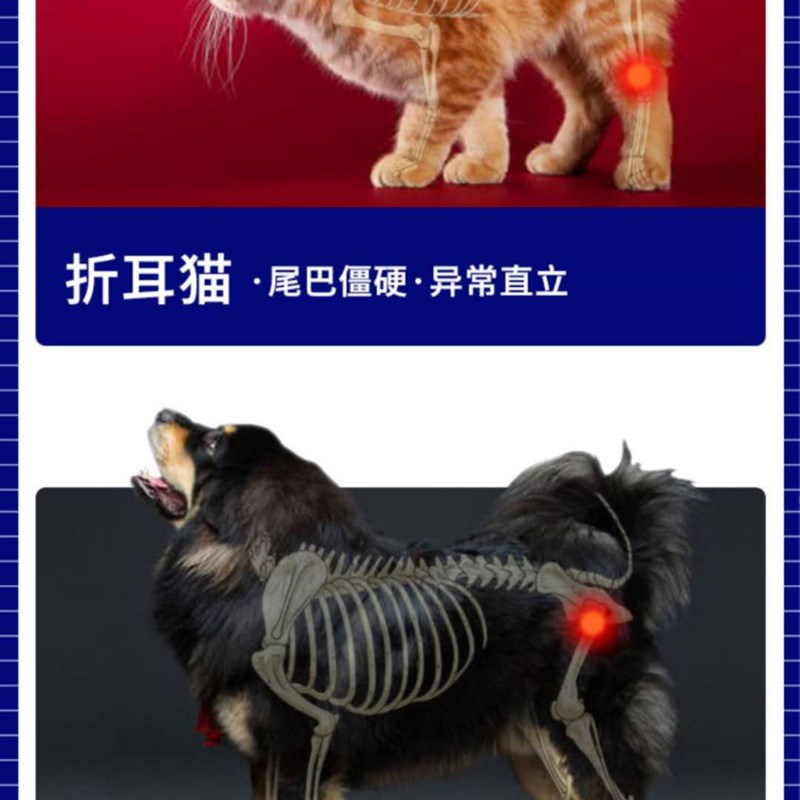 杜立德爱固宝猫狗软骨素骨愈合软骨症关节宝发育不良补钙折耳