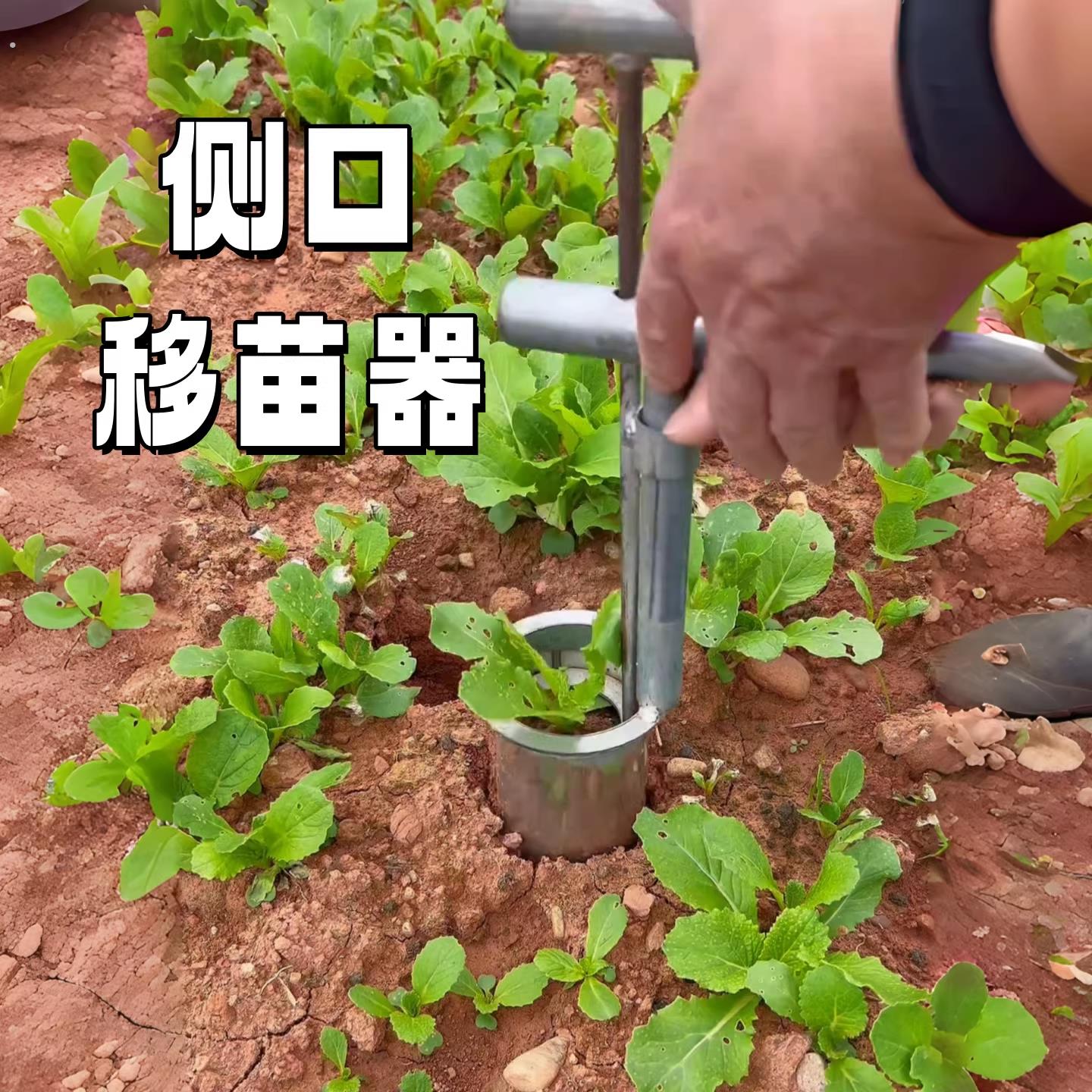 栽苗神器种植工具移苗打孔器泥土打洞器农用取土器起苗挖土小铲子