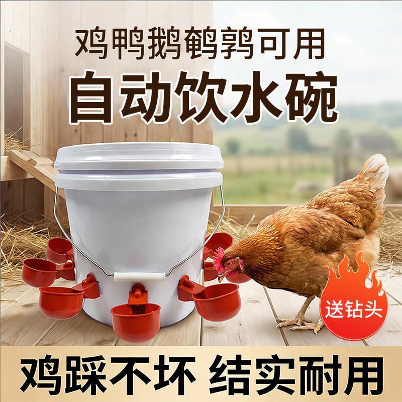 家禽自动饮水器鸡用饮水碗鸡鸭鹅鸽子喝水碗雏鸡鹌鹑饮水小鸡水碗