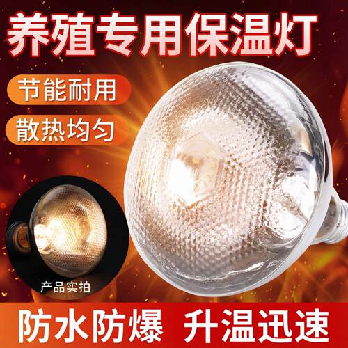 保温灯养殖场专用兽用保温灯泡仔猪取暖灯育雏烤灯宠物小鸡加热灯